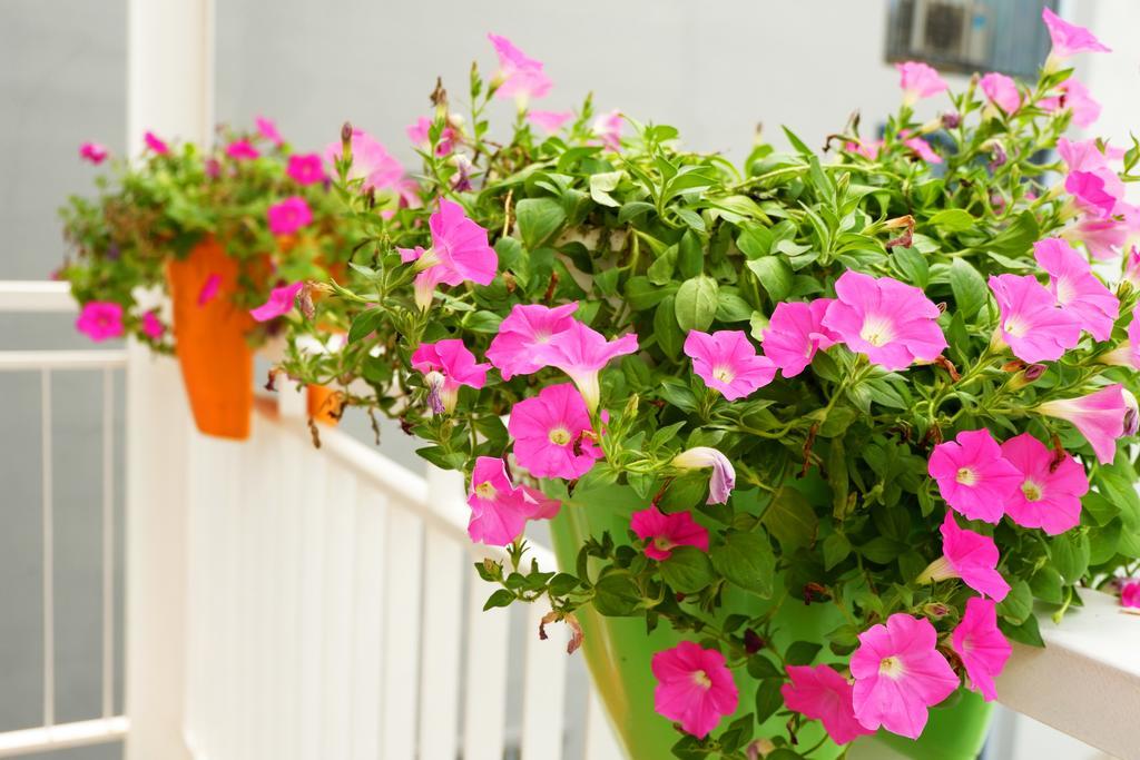 Saigon Corner House Apartment Ho Chi Minh City Bagian luar foto